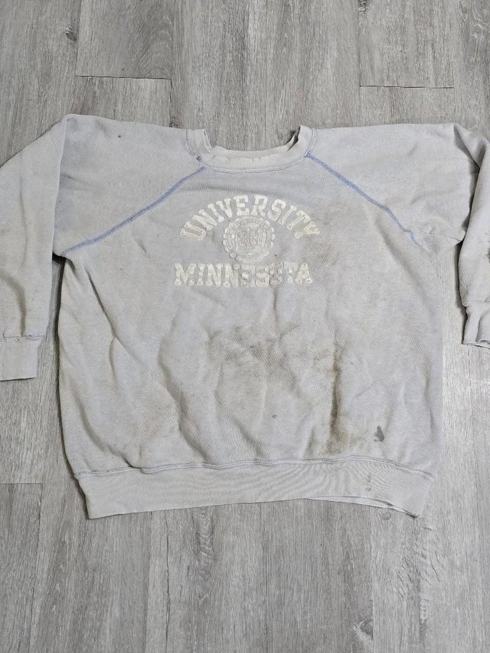 Vintage 70s Champion University of Minnesota Flocked Blue Sweatshirt Distressed
